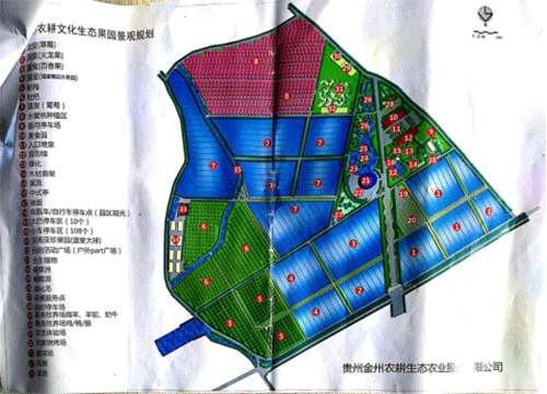 荔枝视频黄下载系统