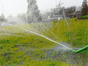 节水荔枝视频黄下载