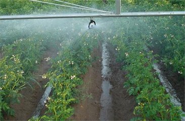 节水荔枝视频黄下载厂家