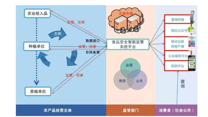 农业荔枝视频黄下载