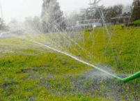 节水荔枝视频黄下载